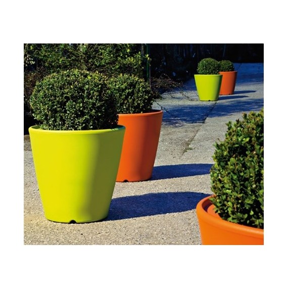 domitalia-mod-omnia-v0